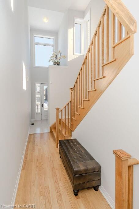 53 Mackay Drive Property Photo 5