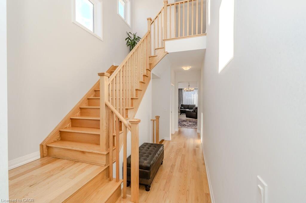 53 Mackay Drive Property Photo 6