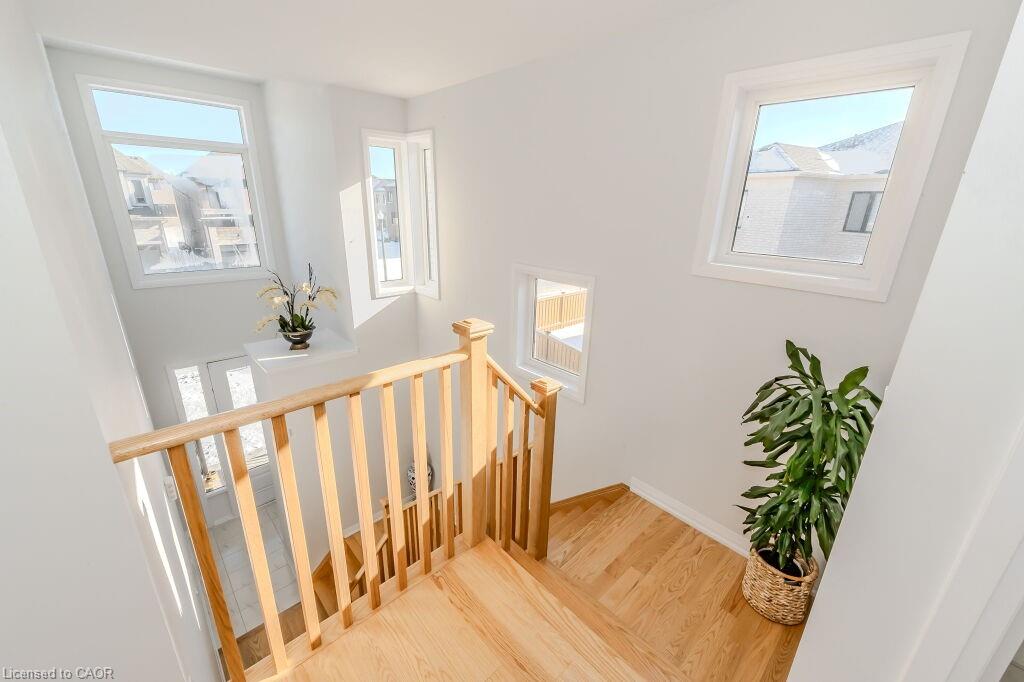 53 Mackay Drive Property Photo 24