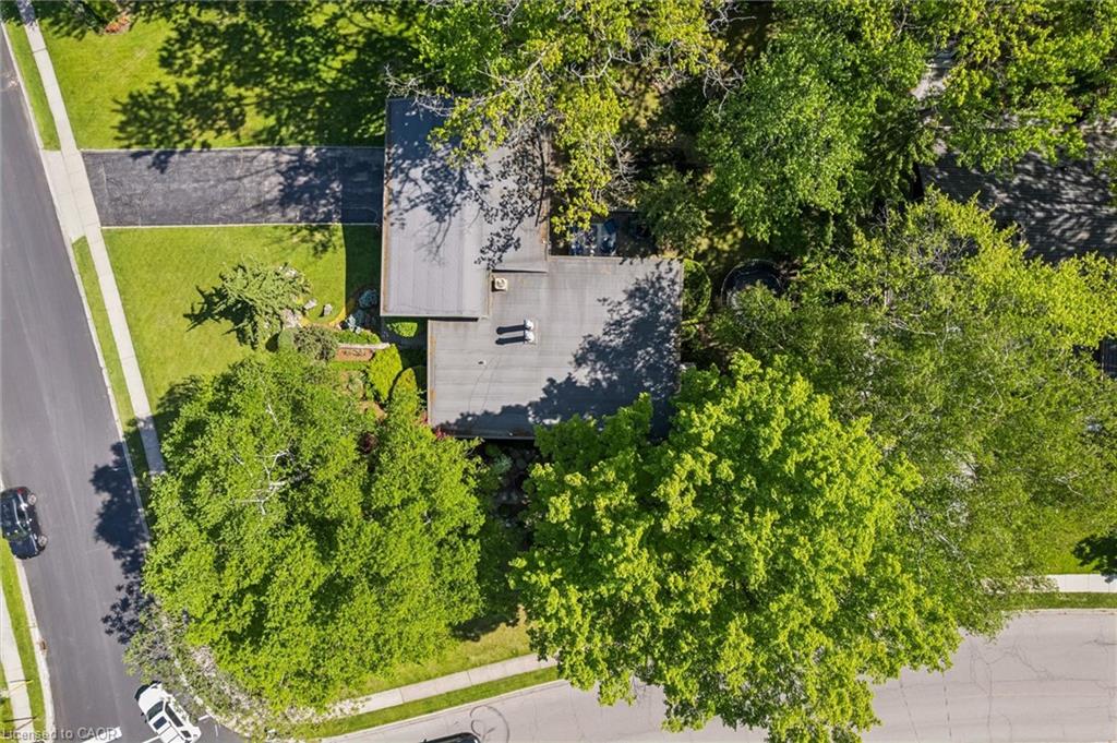 16 Parkwood Drive Property Photo 42