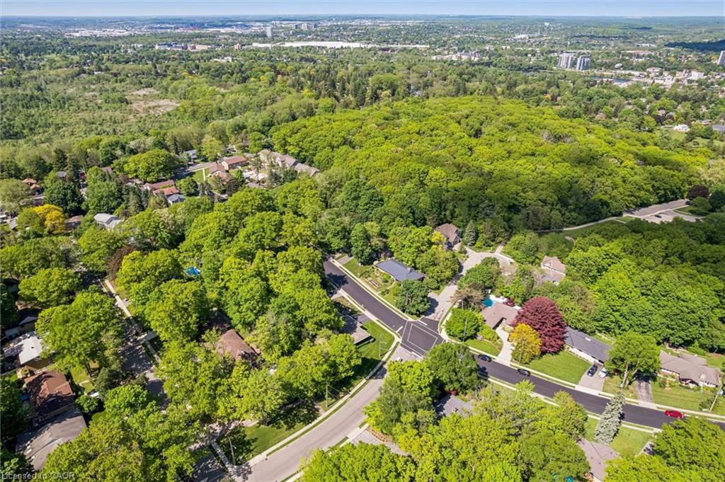 16 Parkwood Drive Property Photo 45