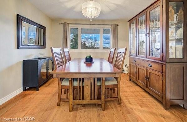 4 Ronald Road Property Photo 14