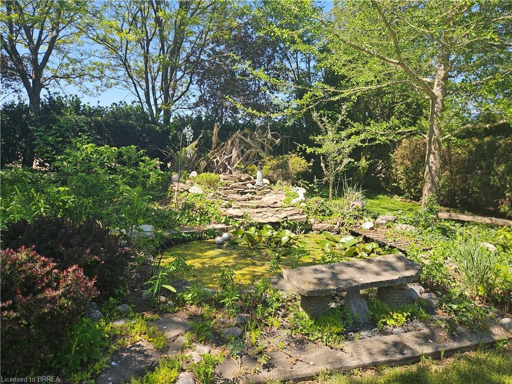 14 Alpha Street Property Photo 32
