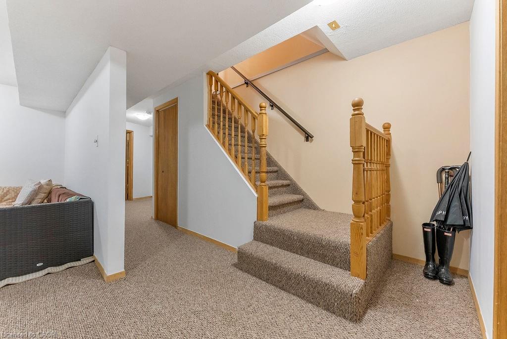 113 Greenshire Drive Property Photo 36