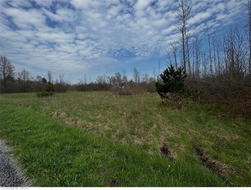 00 Richmond Avenue Property Photo 3