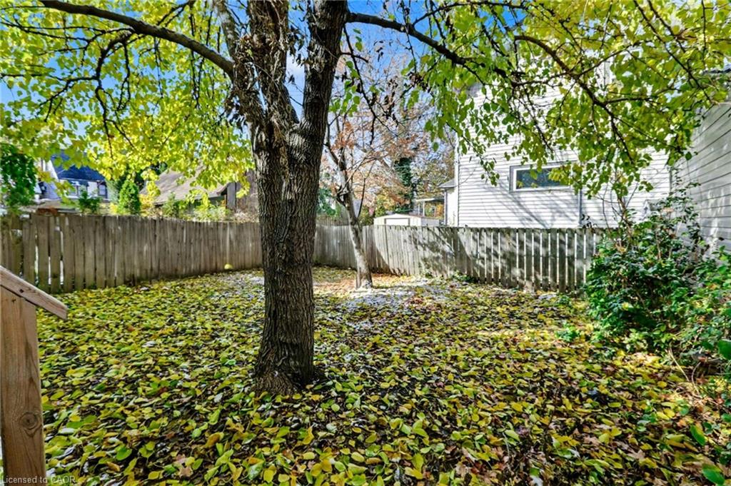 122 Montrose Street Property Photo 38