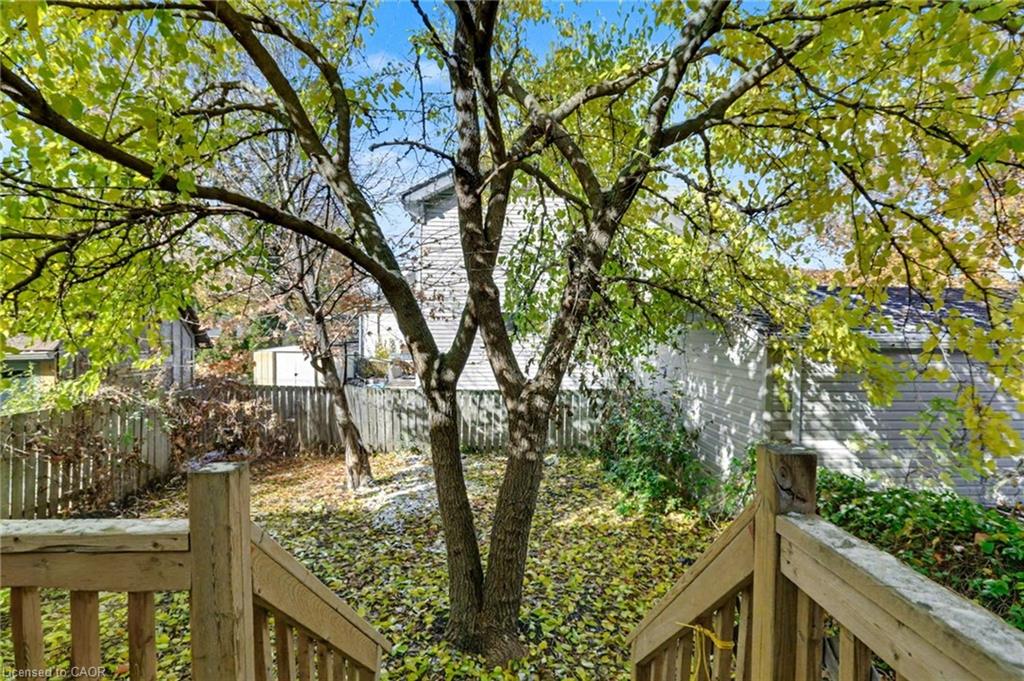 122 Montrose Street Property Photo 40
