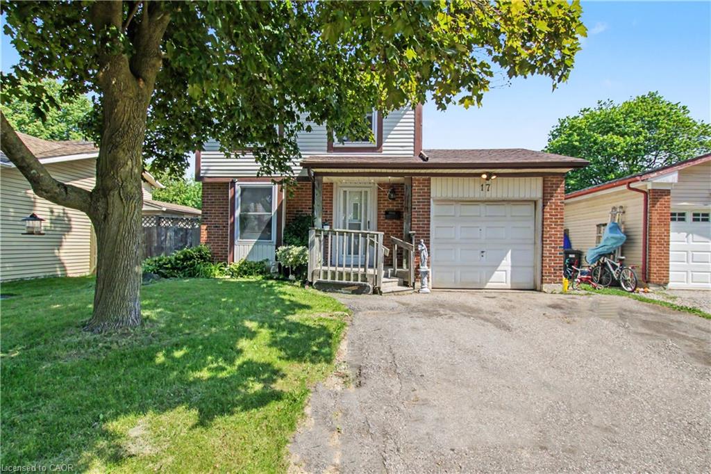 17 Hallmark Street Property Photo 1