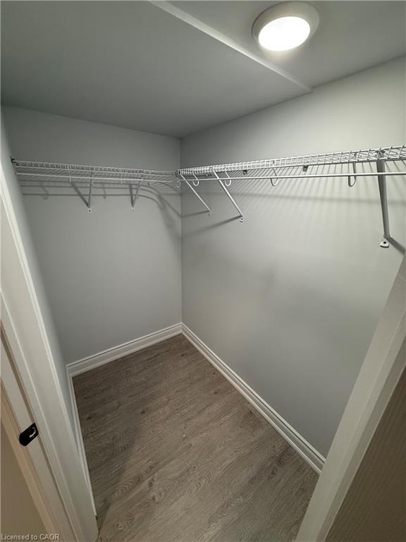 2-41 Beamer Street Property Photo 18