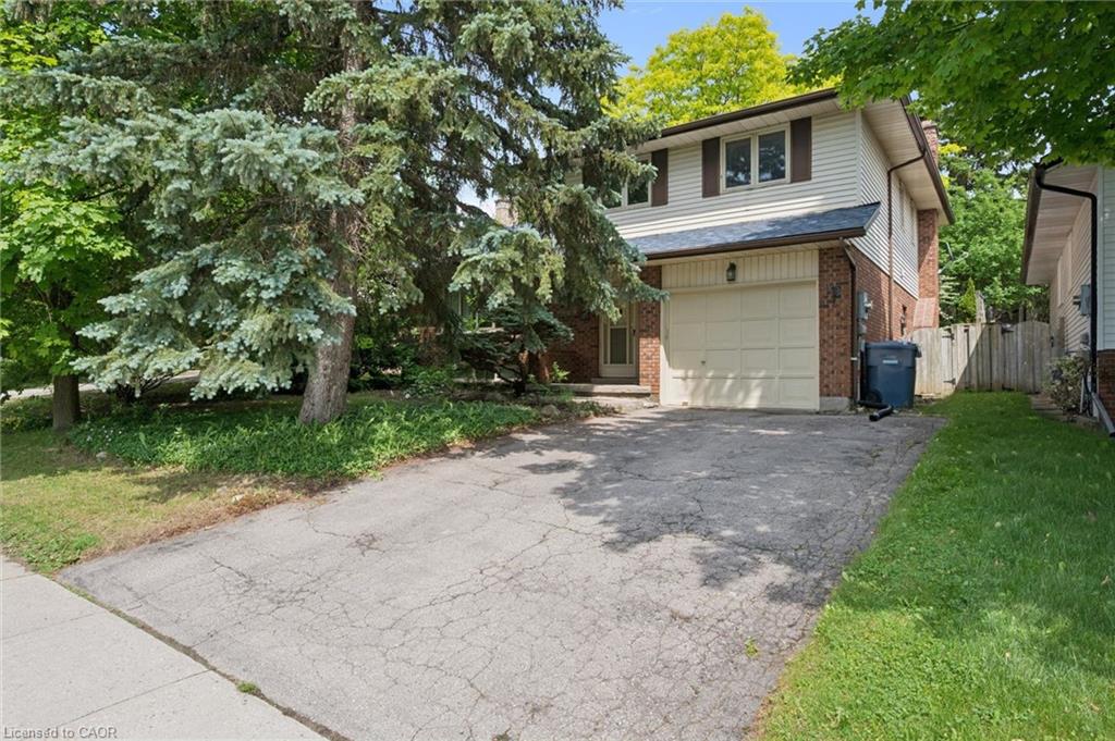 18 Mcelderry Road Property Photo 2