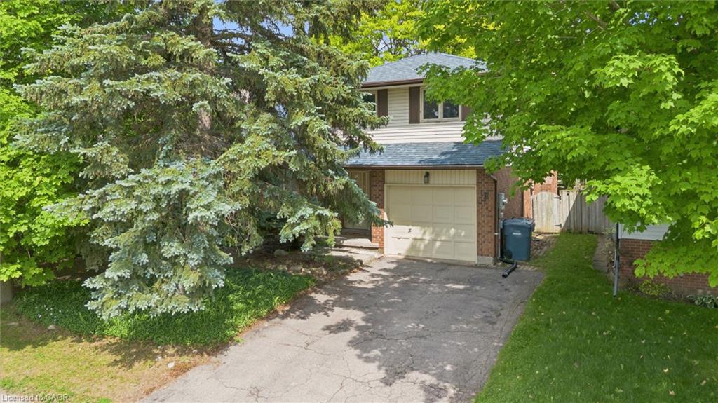 18 Mcelderry Road Property Photo 44