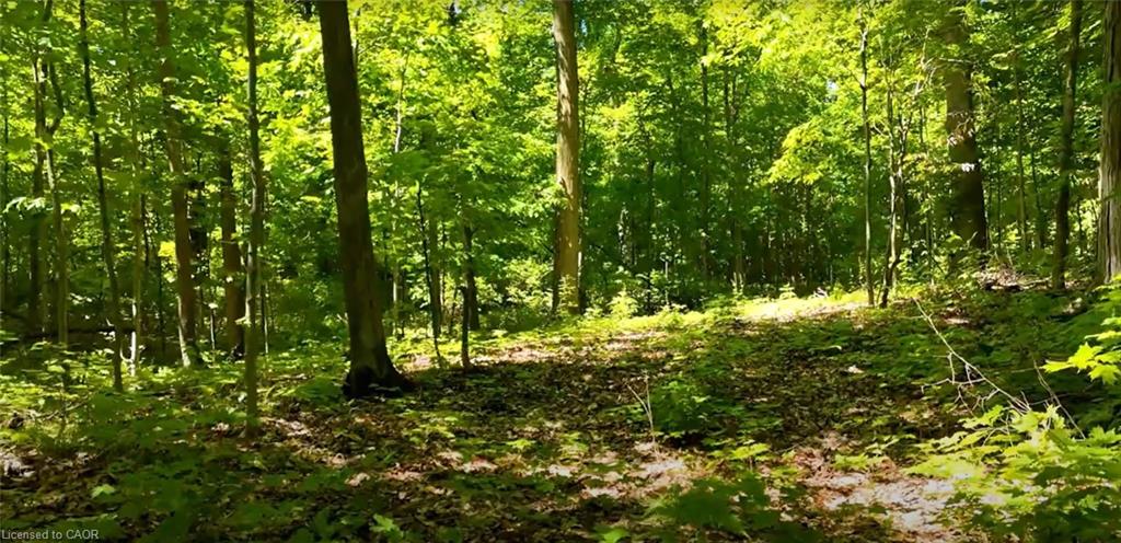 938453 Airport Rd R Road Property Photo 6