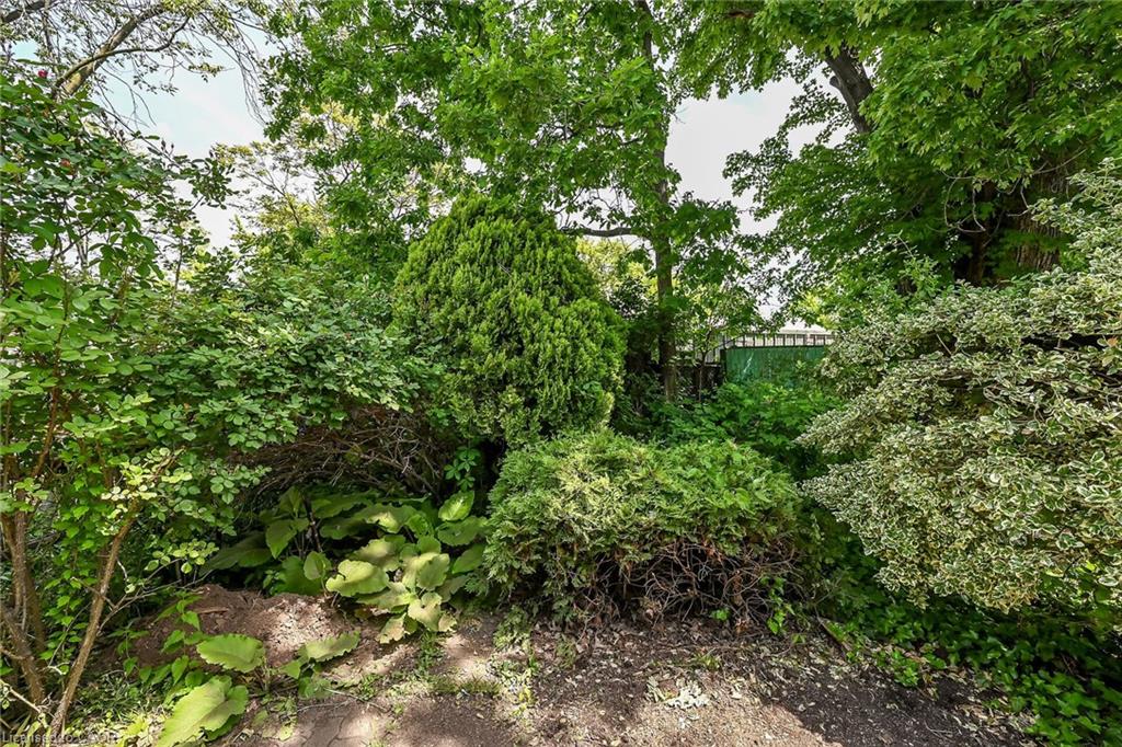 13 Brant Street Property Photo 42