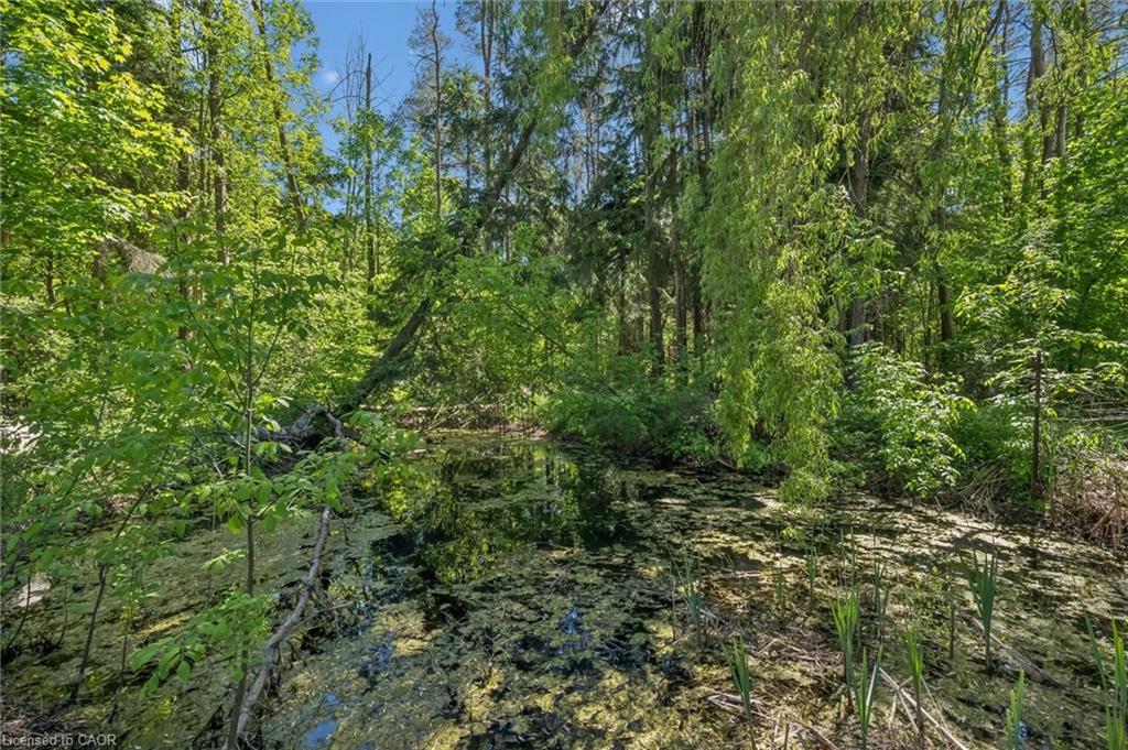 103 Gilkison Street Property Photo 41