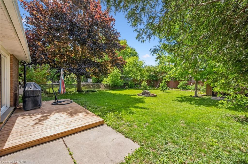 181 Frederick Street Property Photo 49