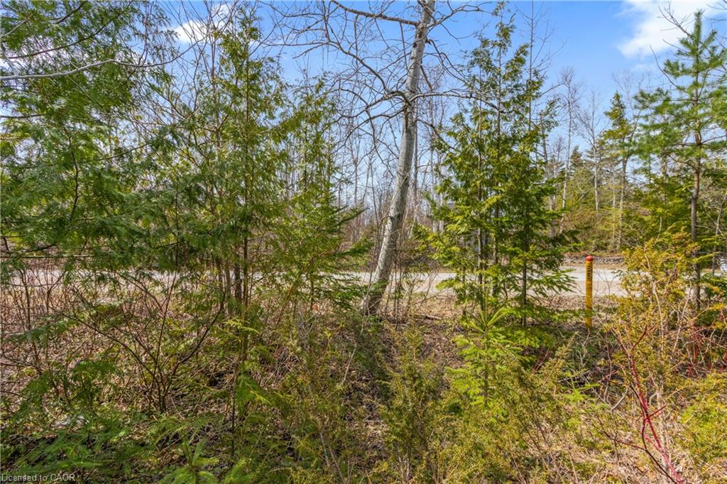 37 Emerson Avenue Property Photo 7