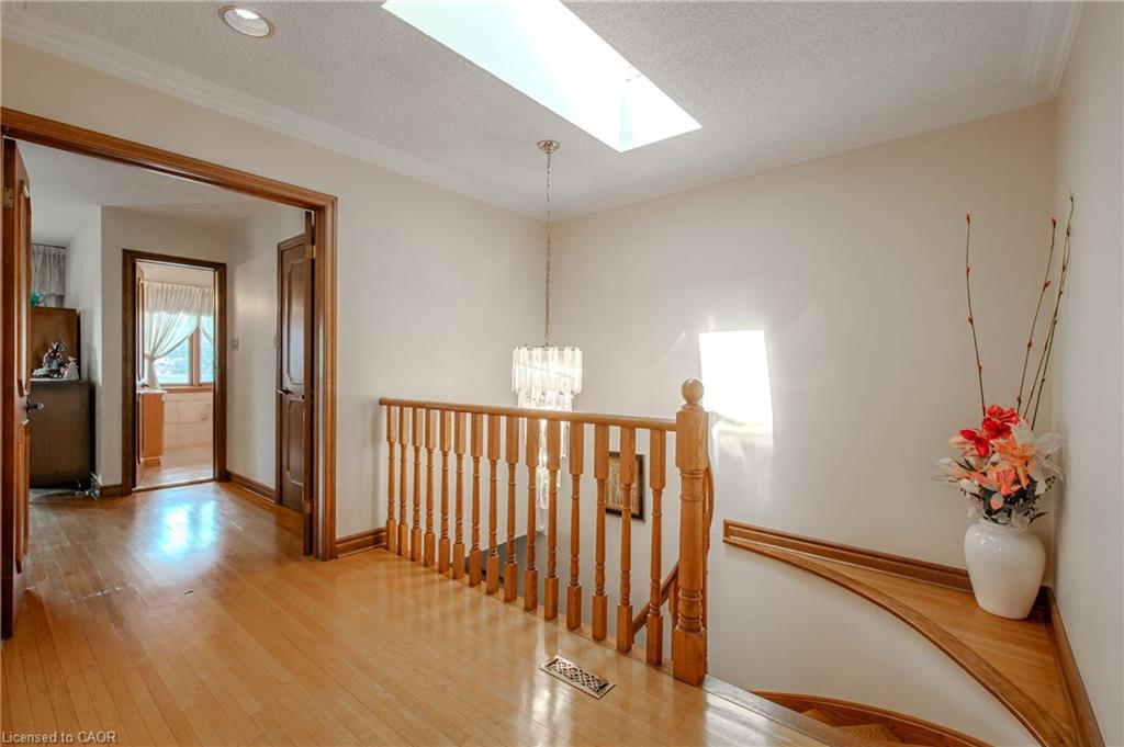 27 Mulholland Avenue Property Photo 21