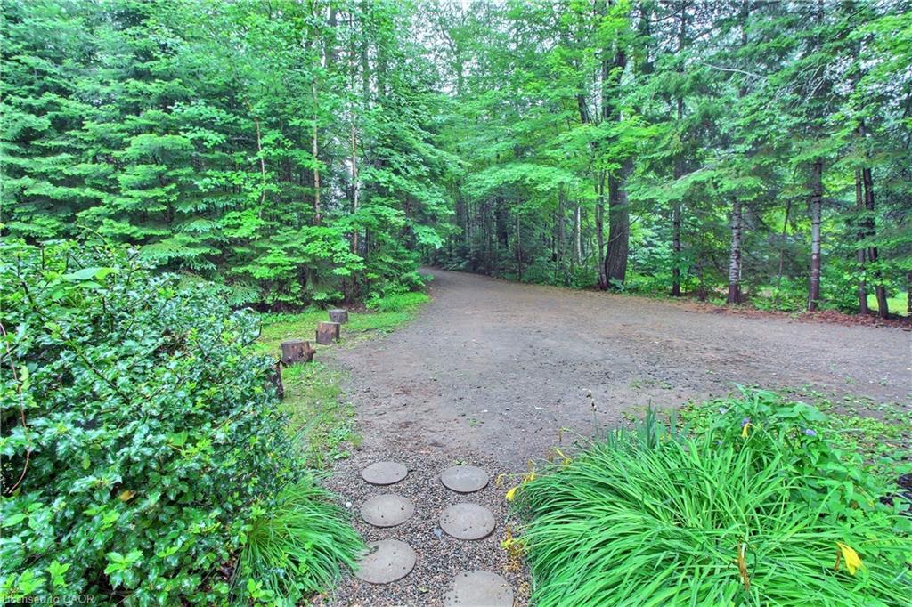 325 Balsam Chutes Road Property Photo 49