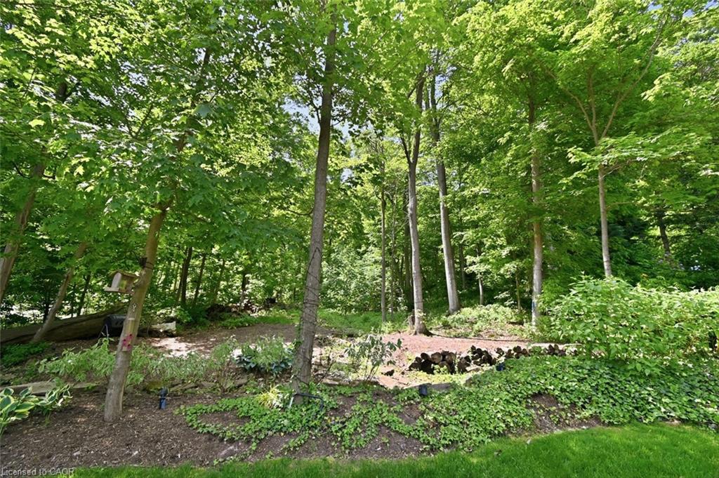 94 Dorchester Drive Property Photo 42