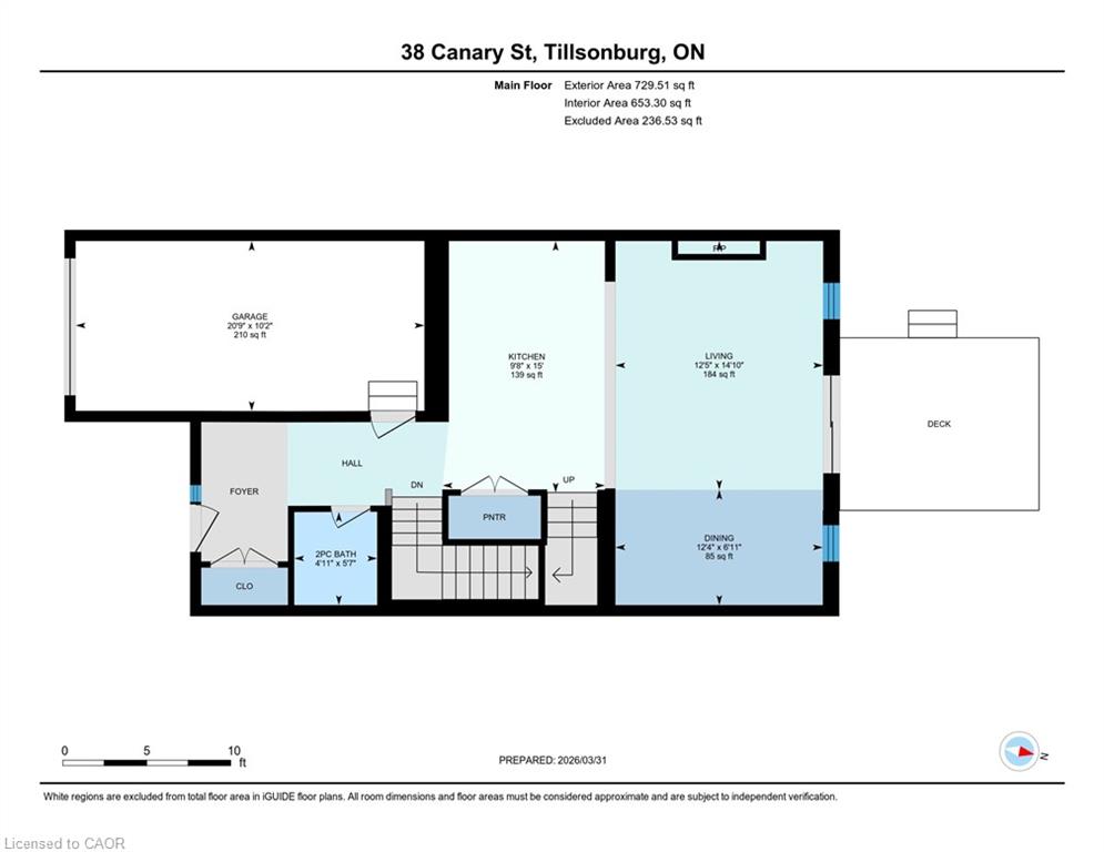 38 Canary Street Property Photo 45