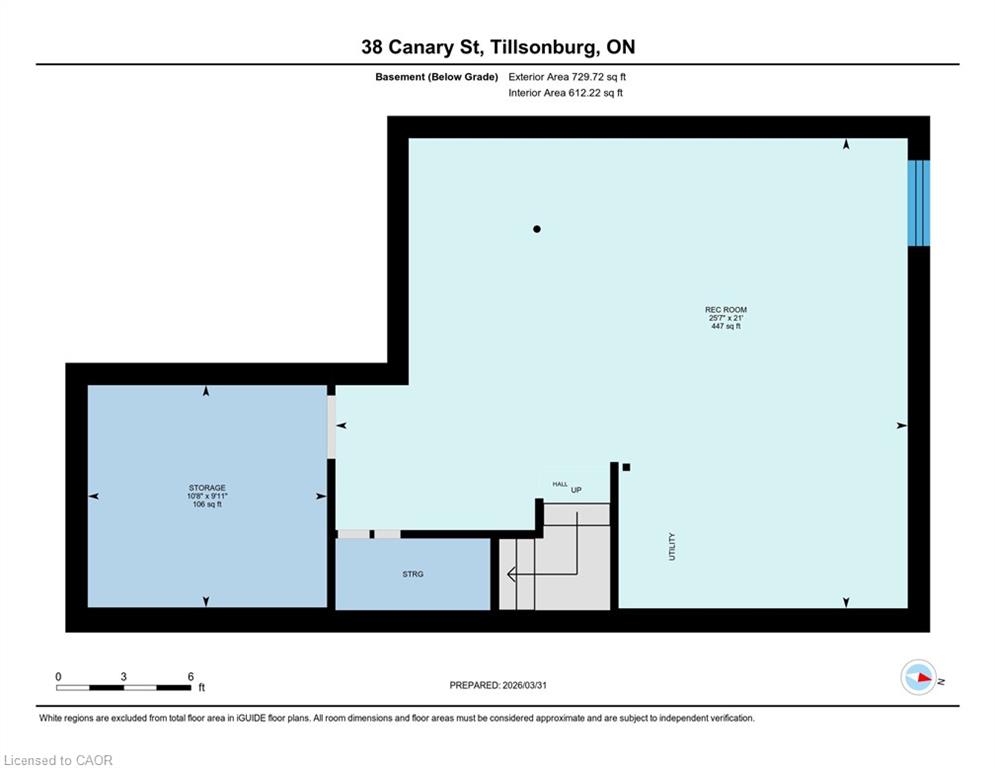 38 Canary Street Property Photo 47