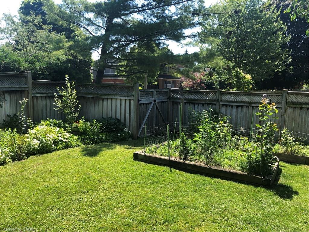 4107 Rolling Valley Drive Property Photo 49