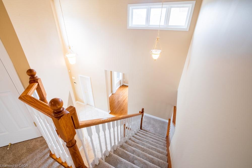 8 Sophie Court Property Photo 23