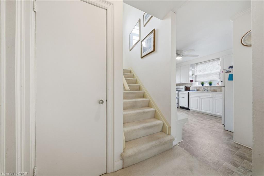 243 Sydney Street Property Photo 29
