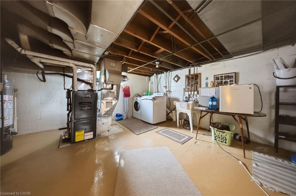 243 Sydney Street Property Photo 48