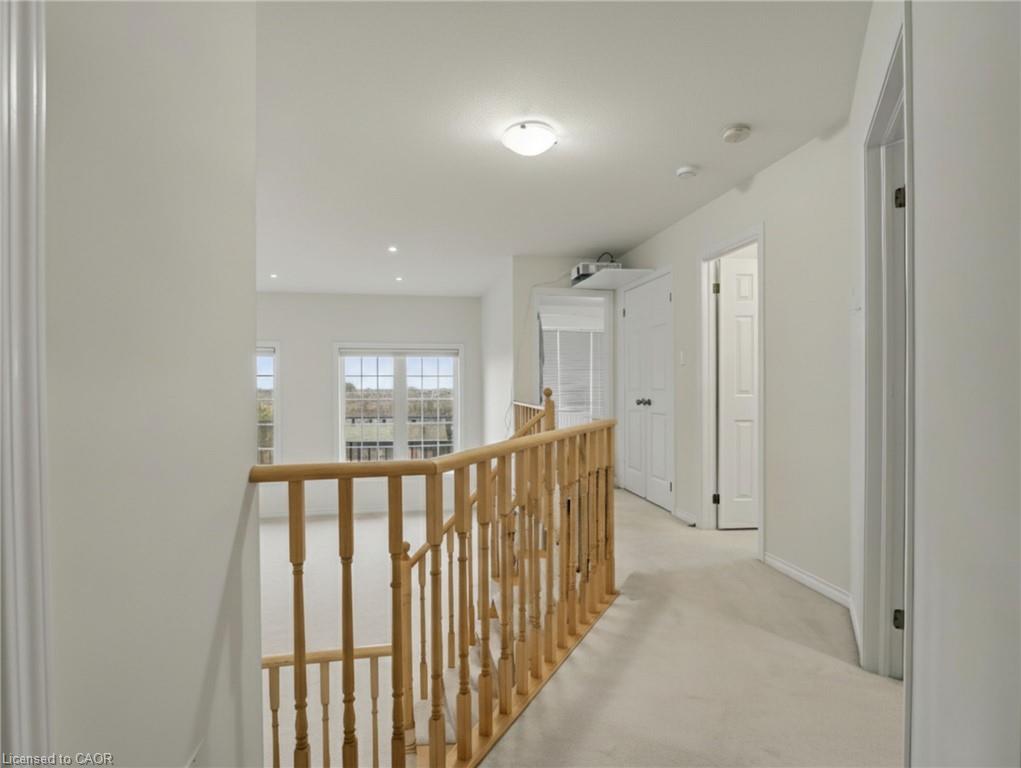 7732 Butternut Boulevard Property Photo 21
