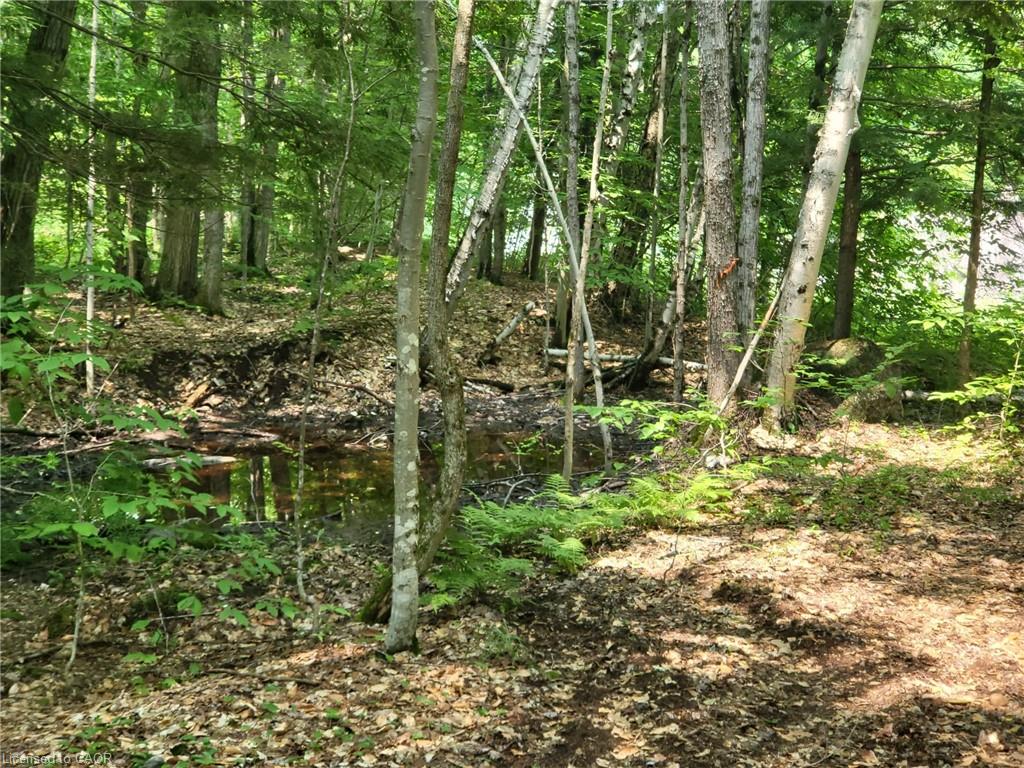 1125 Barlochan Road Property Photo 3