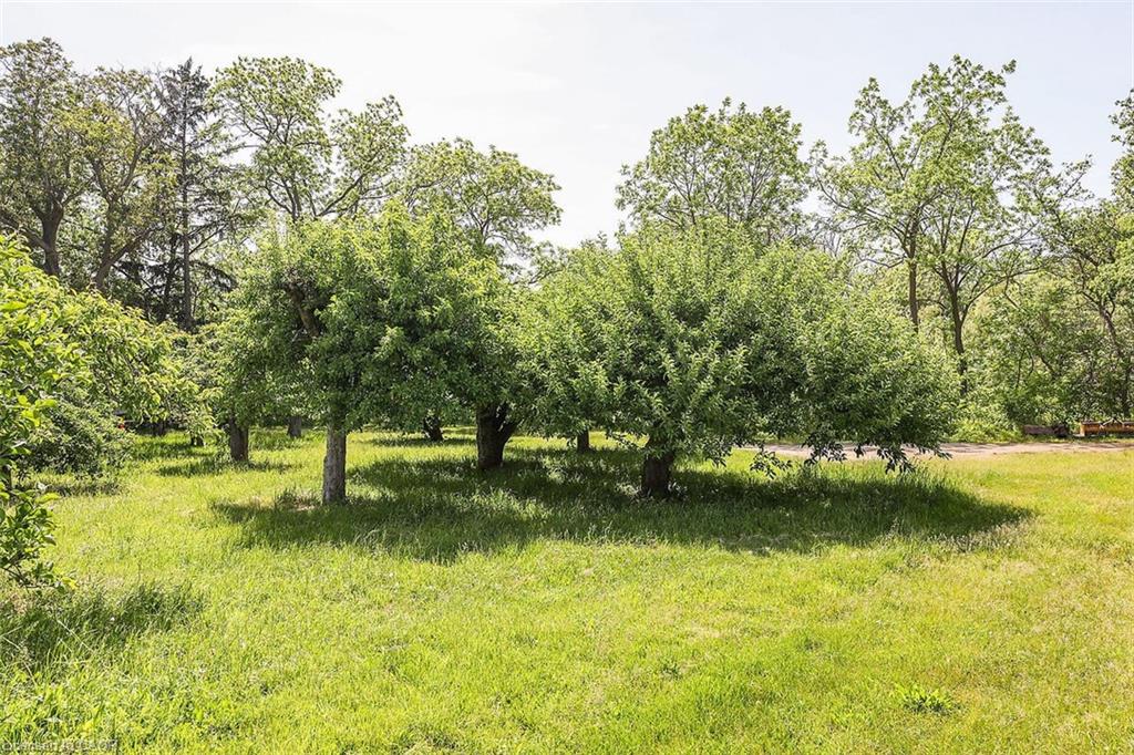 20 Bridgman Lane Property Photo 31