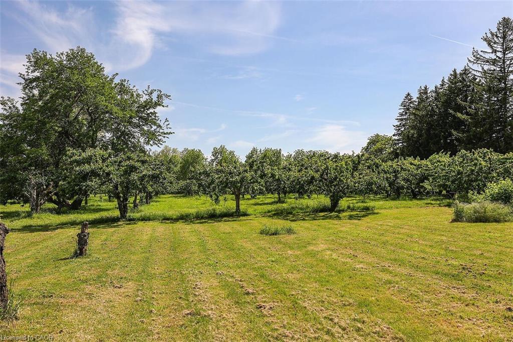 20 Bridgman Lane Property Photo 32