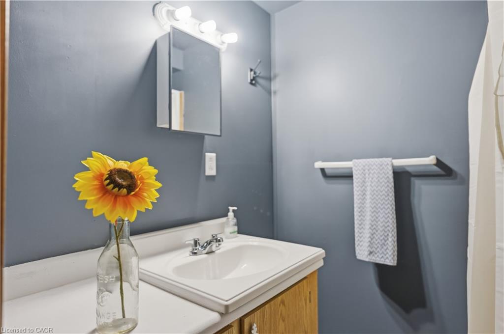 228 Golden Orchard Drive Property Photo 19