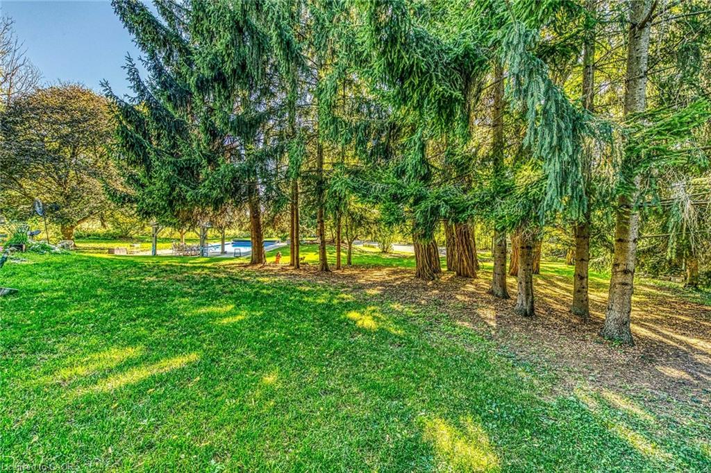 5590 Blind Line Property Photo 36