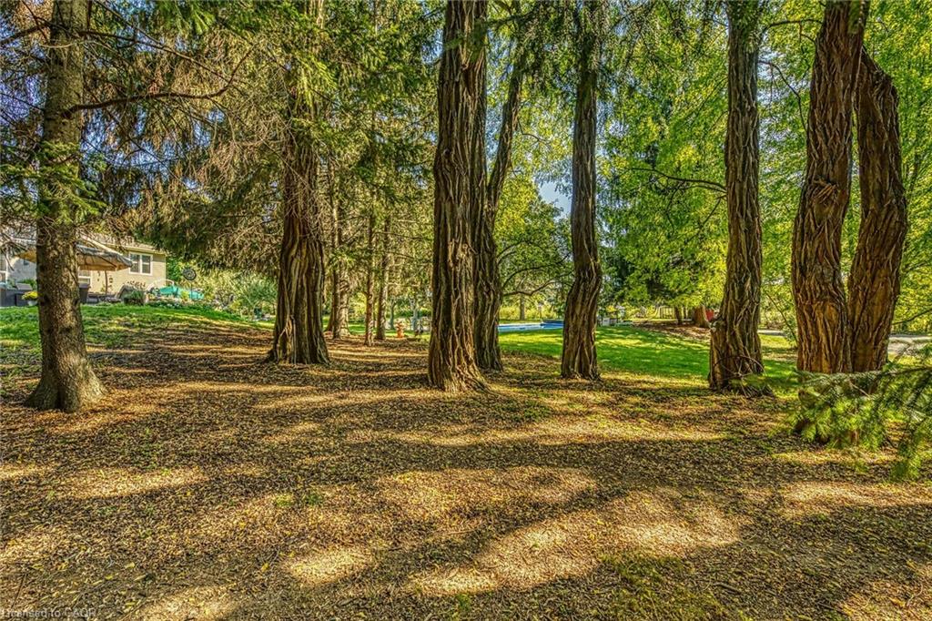 5590 Blind Line Property Photo 37