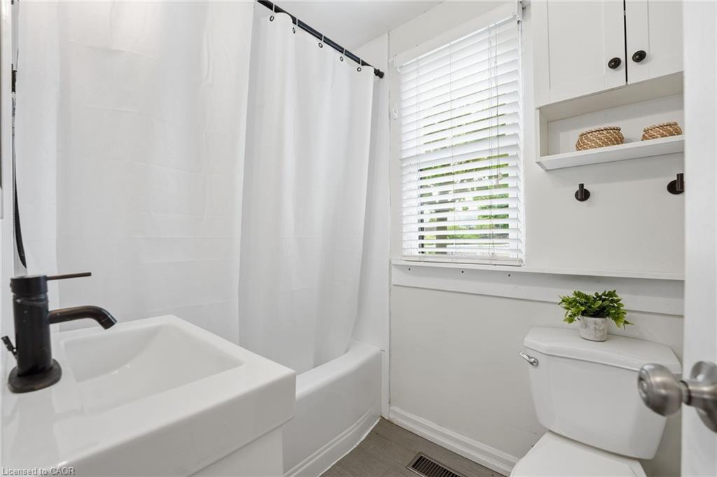 43 Alonzo Street Property Photo 15
