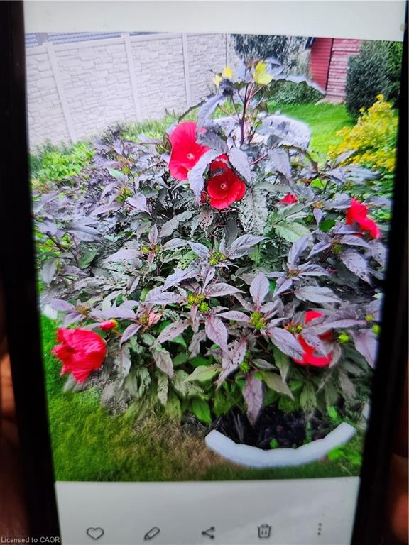 102 Byeland Drive Property Photo 37