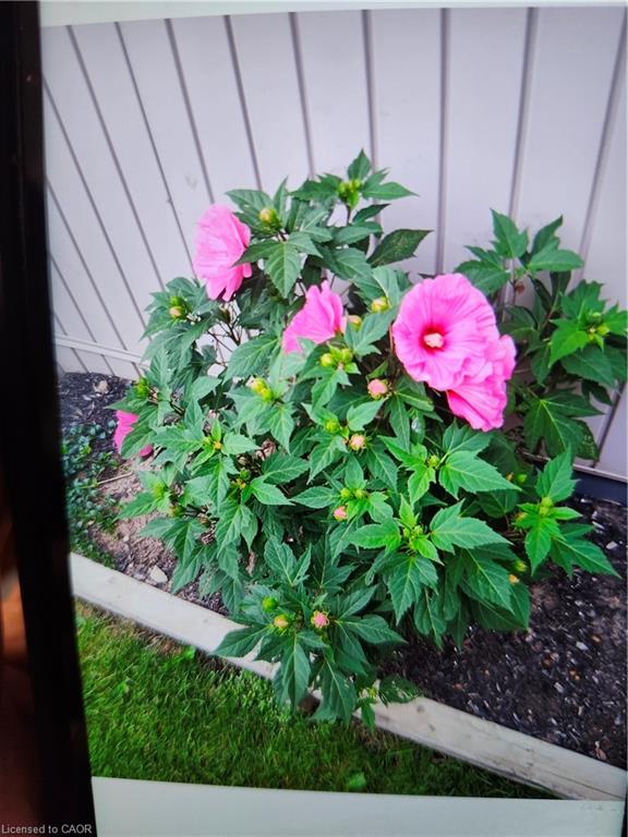 102 Byeland Drive Property Photo 38
