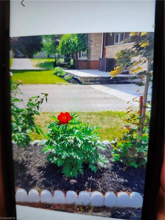 102 Byeland Drive Property Photo 39