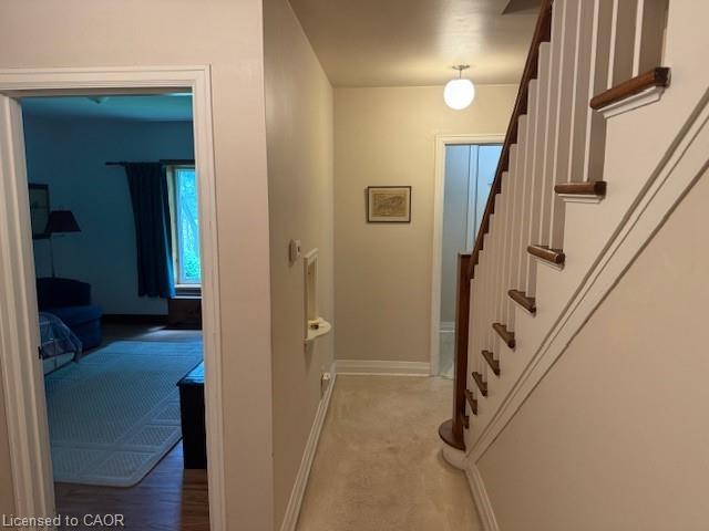 311 Golf Links Road Property Photo 12