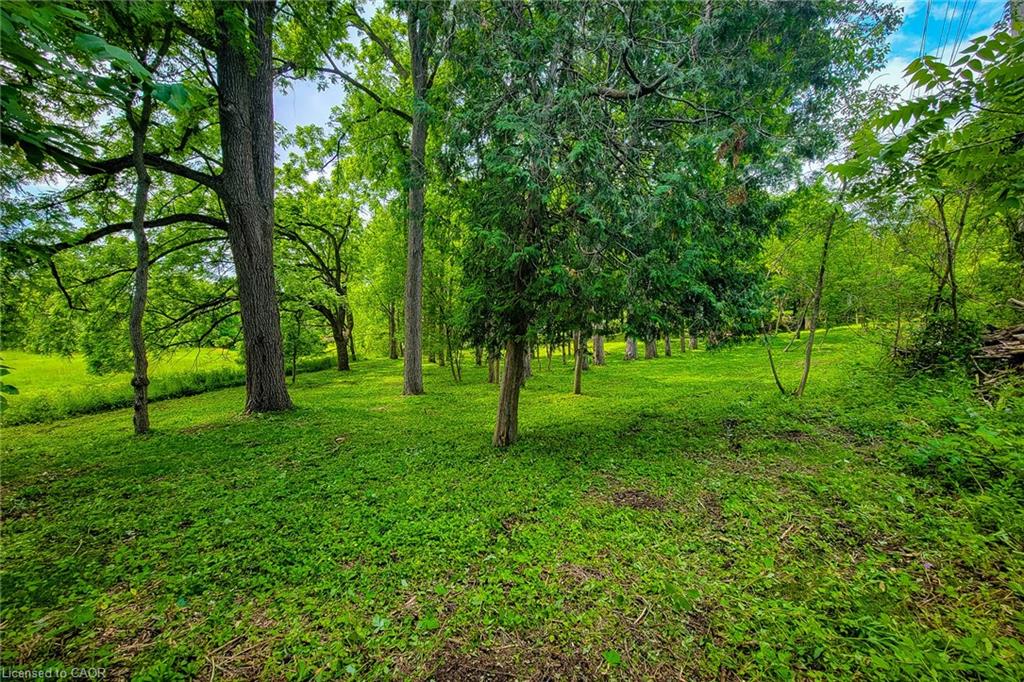 311 Golf Links Road Property Photo 19
