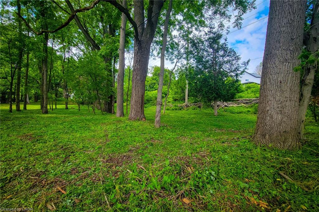 311 Golf Links Road Property Photo 20