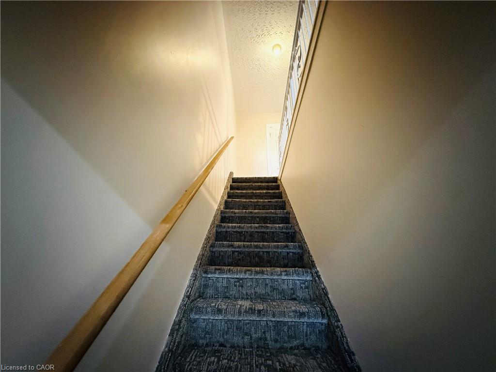 24 Somerset Avenue Property Photo 15