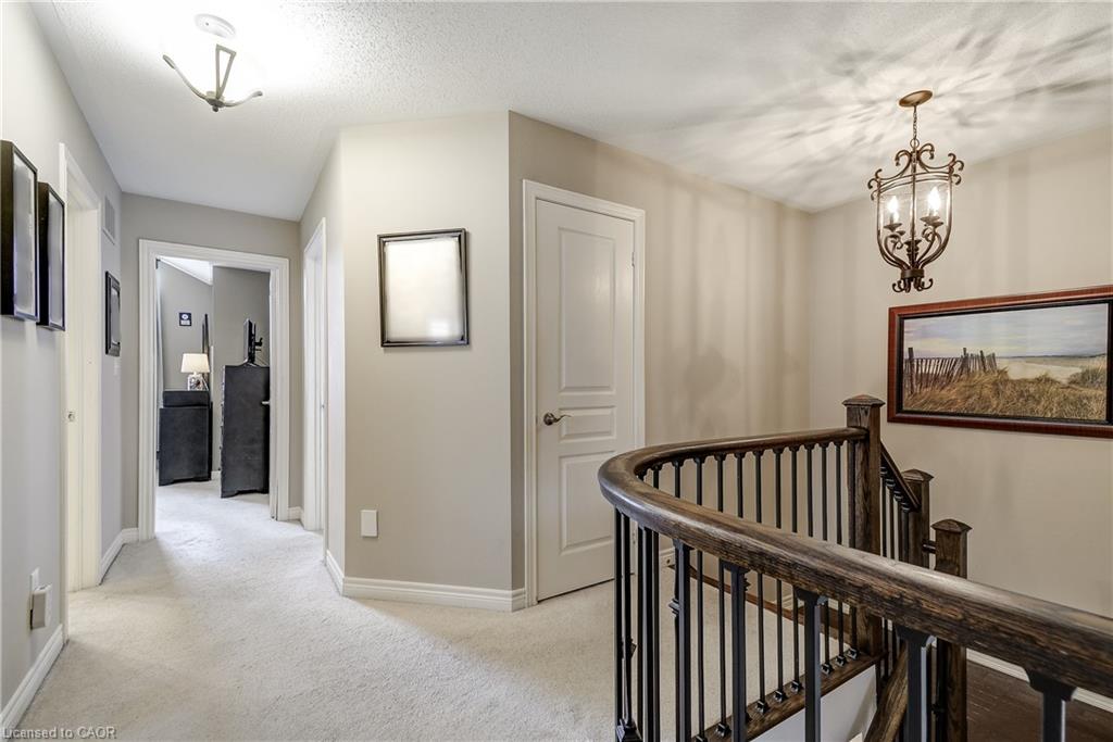 23 Mcknight Avenue Property Photo 17