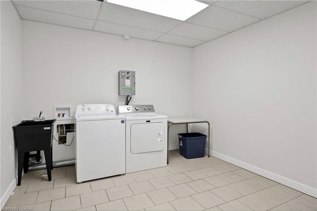 41 Albert Street Property Photo 6