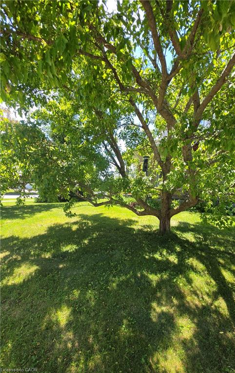 249 Wilderness Drive Property Photo 47