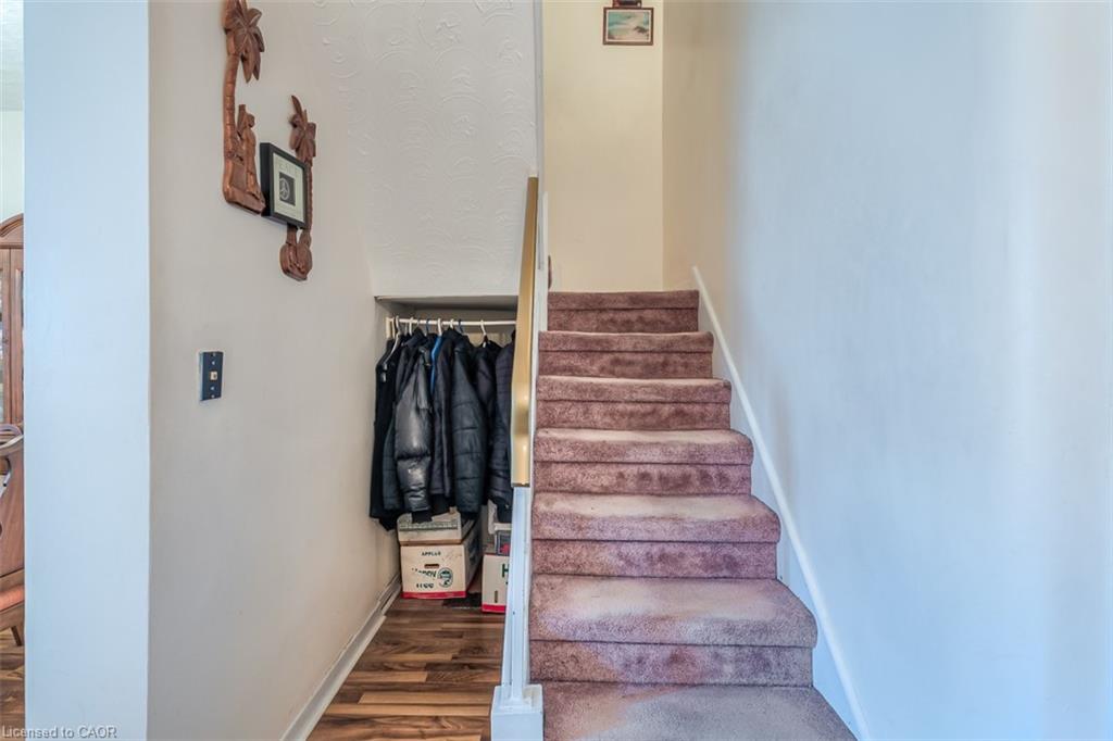 41 Springhurst Avenue Property Photo 12