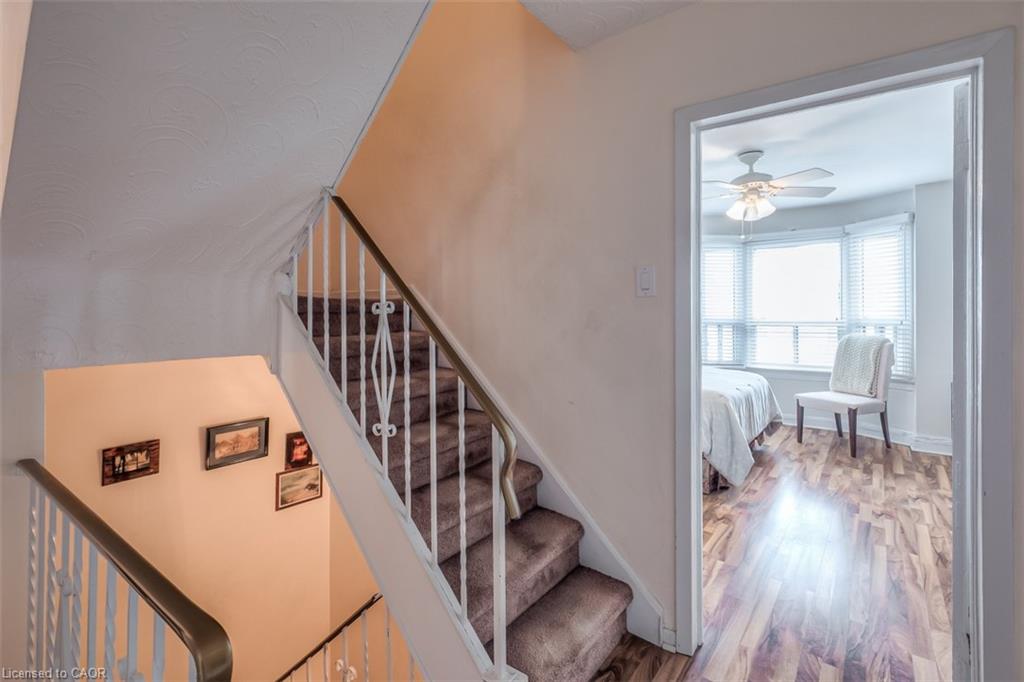 41 Springhurst Avenue Property Photo 22