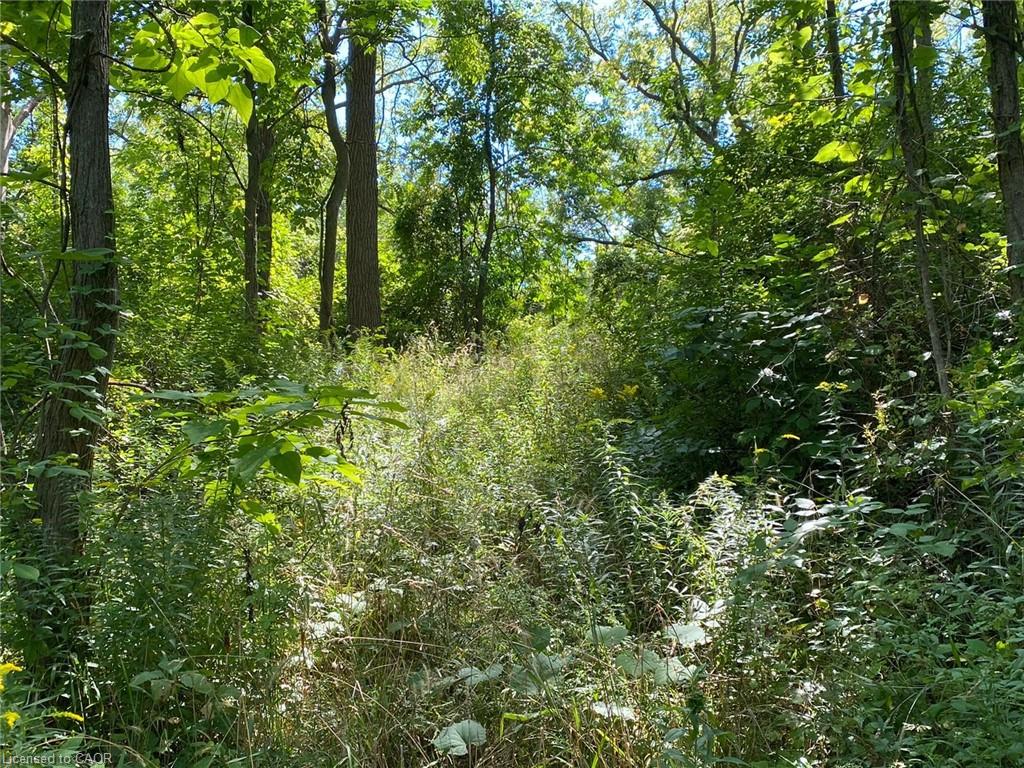 Pt Lt 3 Effingham Street Property Photo 2